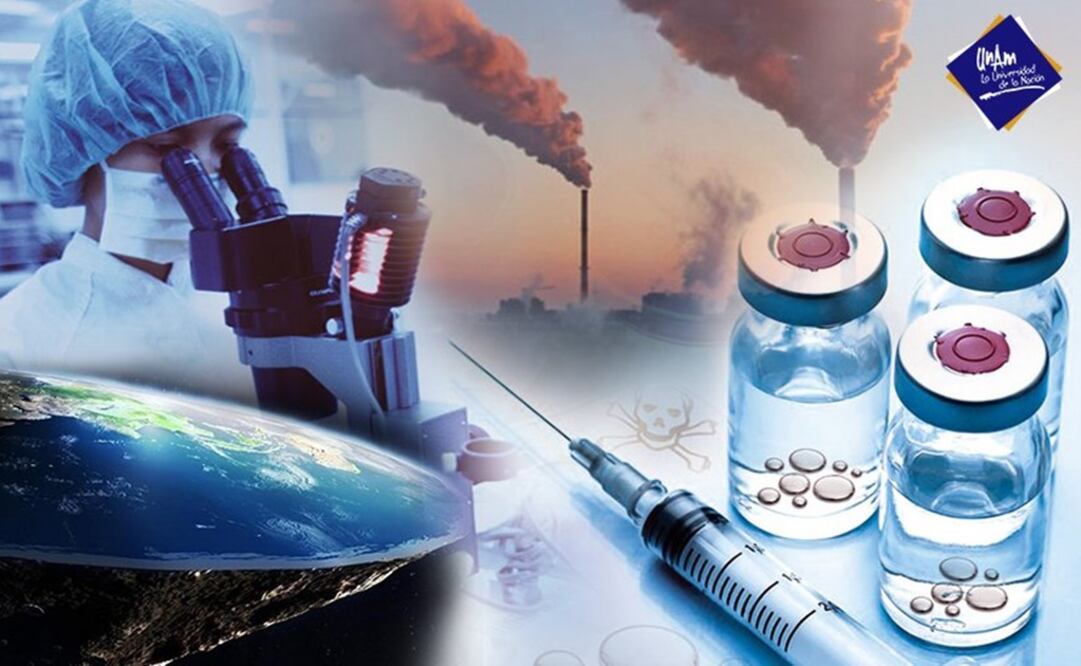 Imagen ilustrativa/ UNAM