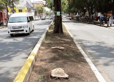 Plantean plan para “recuperar” Reforma y Misterios por L7 del Metrobús