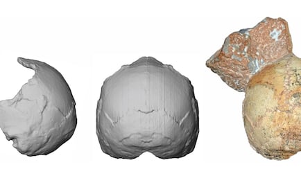 Reportan fósil de "Homo sapiens" en Grecia de hace 210 mil años