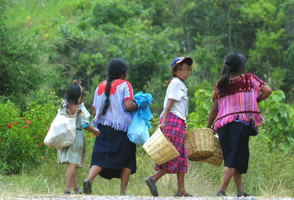 Fotografía: Jorge Serratos. Archivo/EL UNIVERSAL