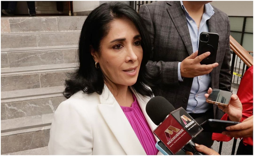 Karina Labastida Sotelo, directora general del Sistema para el Desarrollo Integral de la Familia del Estado de México. Foto. Jorge Alvarado / EL UNIVERSAL