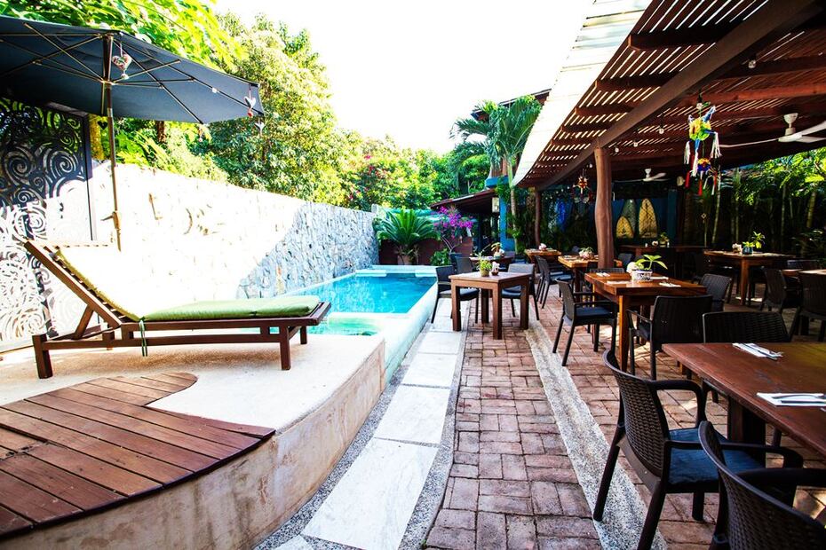 Foto: Mi Jardín Troncones