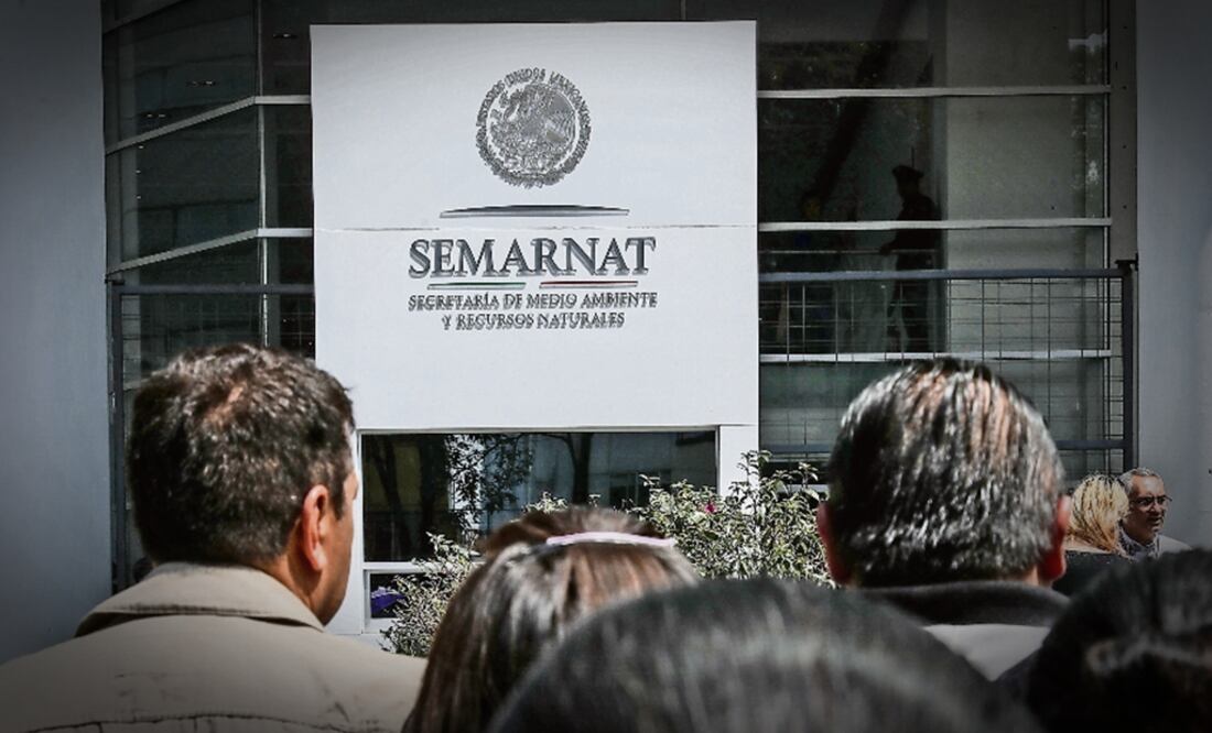 Semarnat declara 6 nuevas áreas naturales. Foto: EL UNIVERSAL