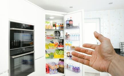 Tips para escoger el refrigerador ideal