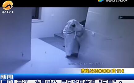 Video. Ladrón se disfraza de fantasma para "burlar" cámaras de seguridad