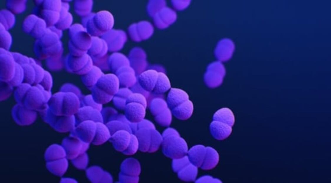 Estas son las bacterias más peligrosas del mundo: estudio