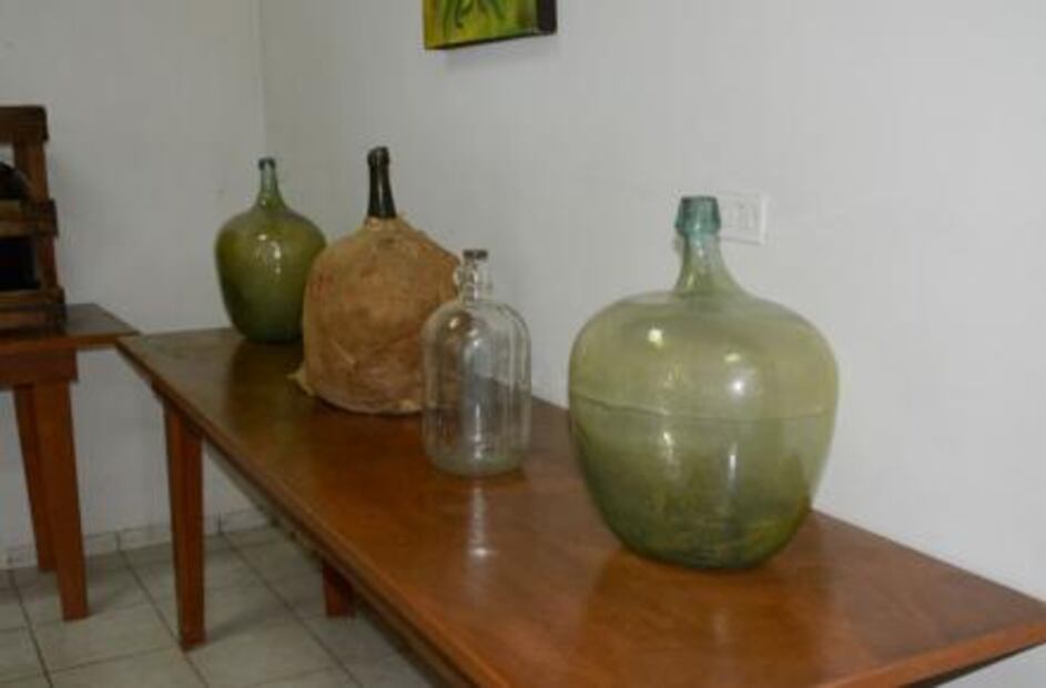 ¿Conoces las 16 cosas que sólo pueden producirse en México?