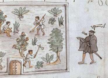 ¿Qué pasó tras la caída de Tenochtitlan? Historiador lo explica