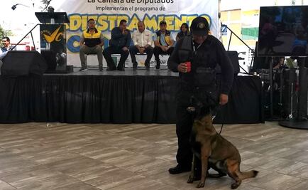 Inician campaña de adiestramiento canino en la alcaldía Venustiano Carranza