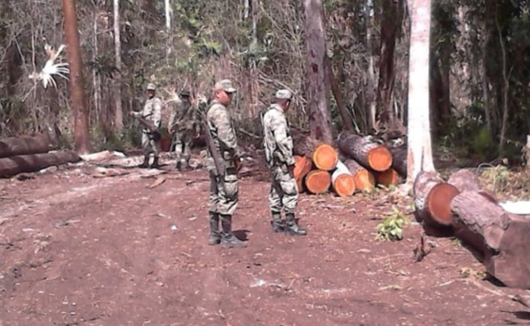 Foto: profepa.gob.mx