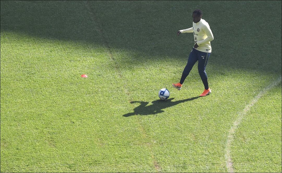 La soledad de Renato Ibarra