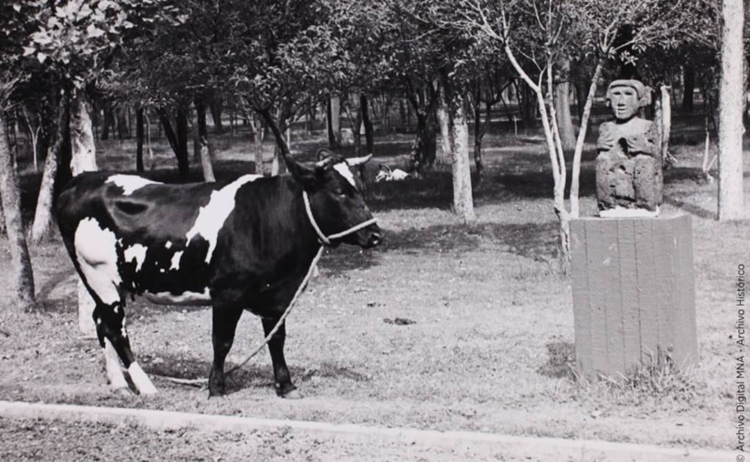 FOTO: Facebook/Museo Nacional de Antropología.
