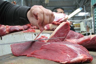 “Consumir carne de caballo no daña la salud”