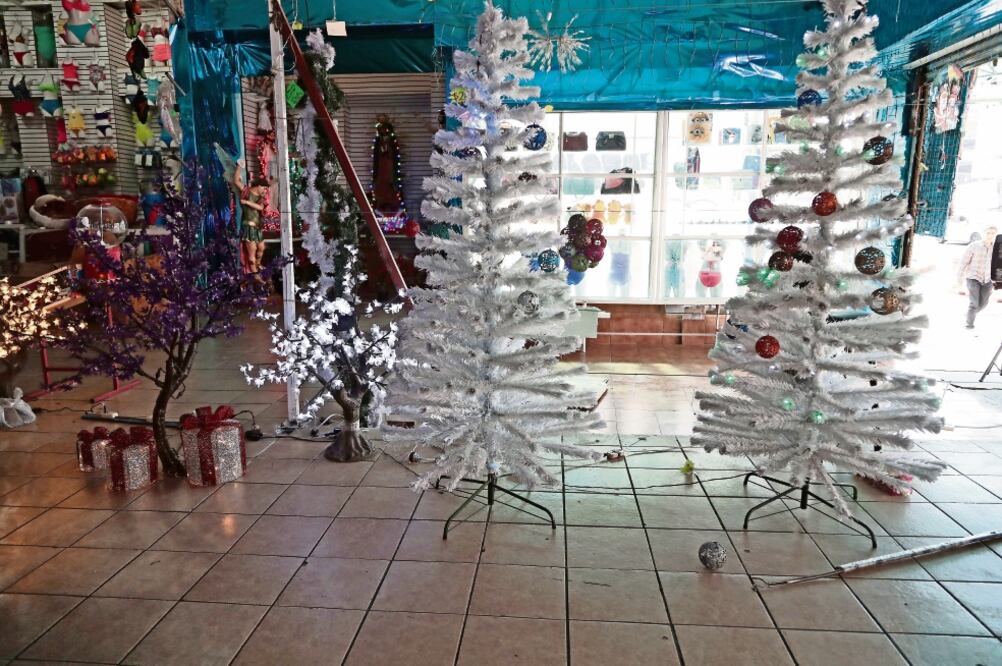 El emperador Maximiliano fue el primero en poner de moda en México el uso de árboles de Navidad, entre los años 1864 a 1867 (ALEJANDRO ACOSTA.EL UNIVERSAL)