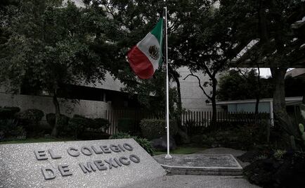 Fallece la investigadora Martha Elena Venier