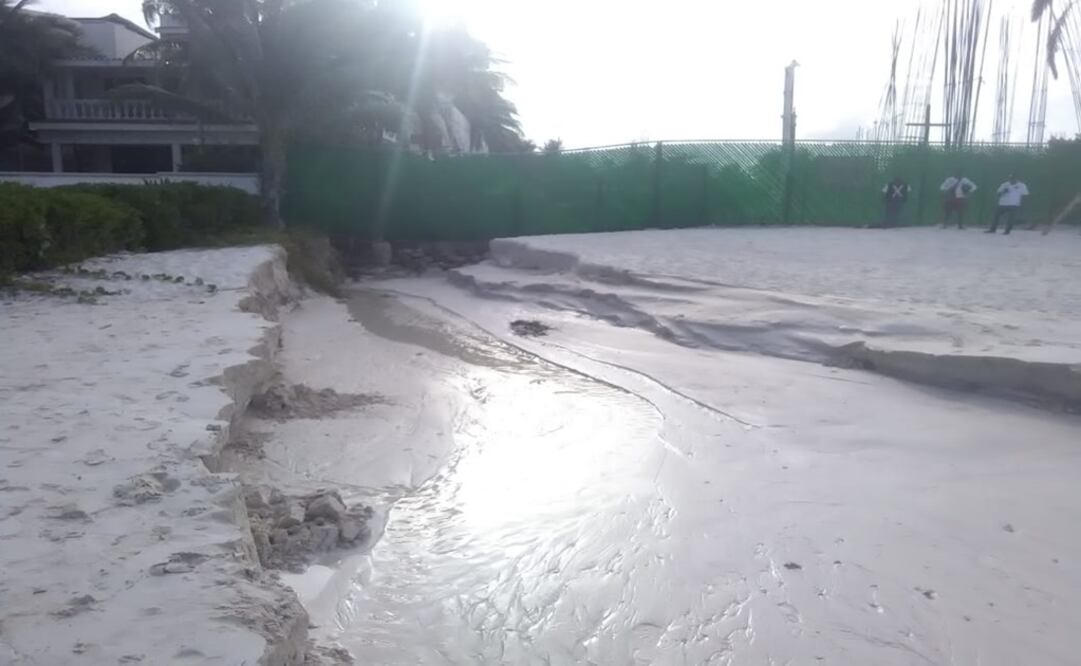 Foto: Cortesía / Colectivo Puerto Morelos Sustentable 