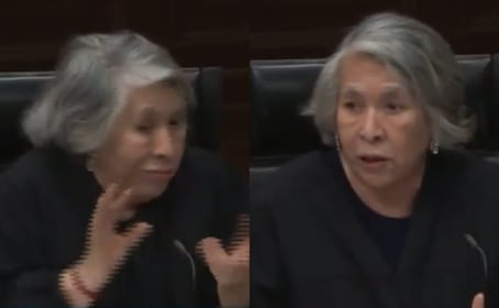 “No son familia”: La escandalosa frase de la ministra Ríos González sobre niños nacidos por fecundación in vitro que encendió las redes 