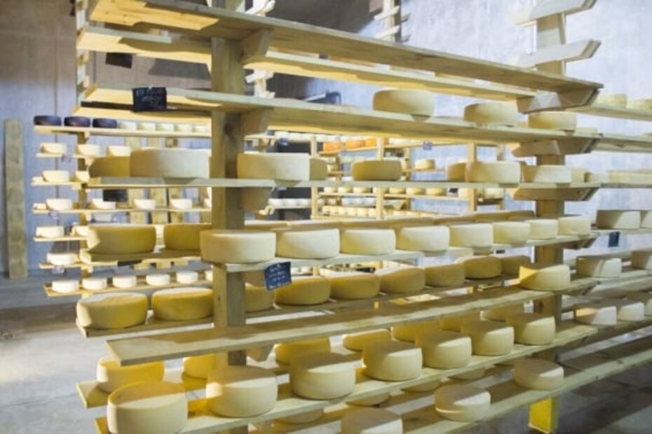 Festival Viva El Queso: degustaciones y catas con vino en Querétaro