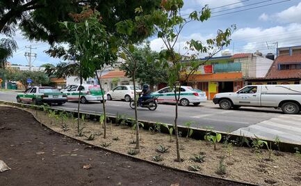 ONU impulsa jardines infiltrantes para evitar inundaciones en Xalapa