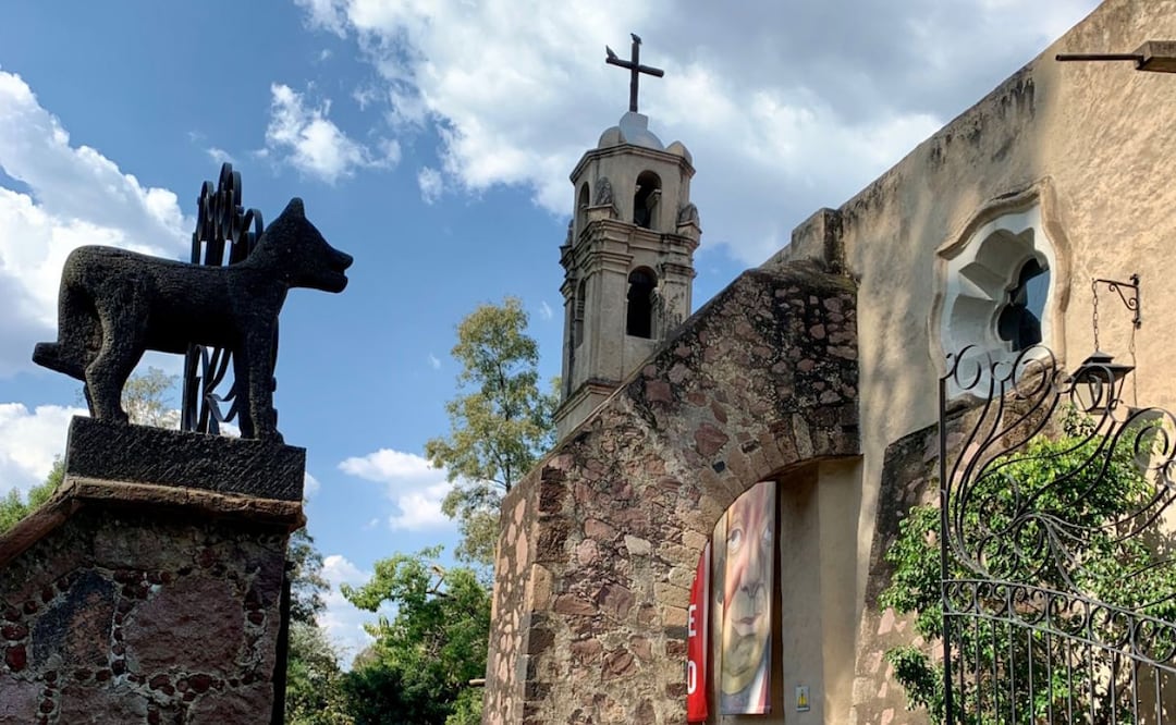 El Museo Dolores Olmedo cuenta con jardines habitados por xoloitzcuintles. Foto: Gobierno de México