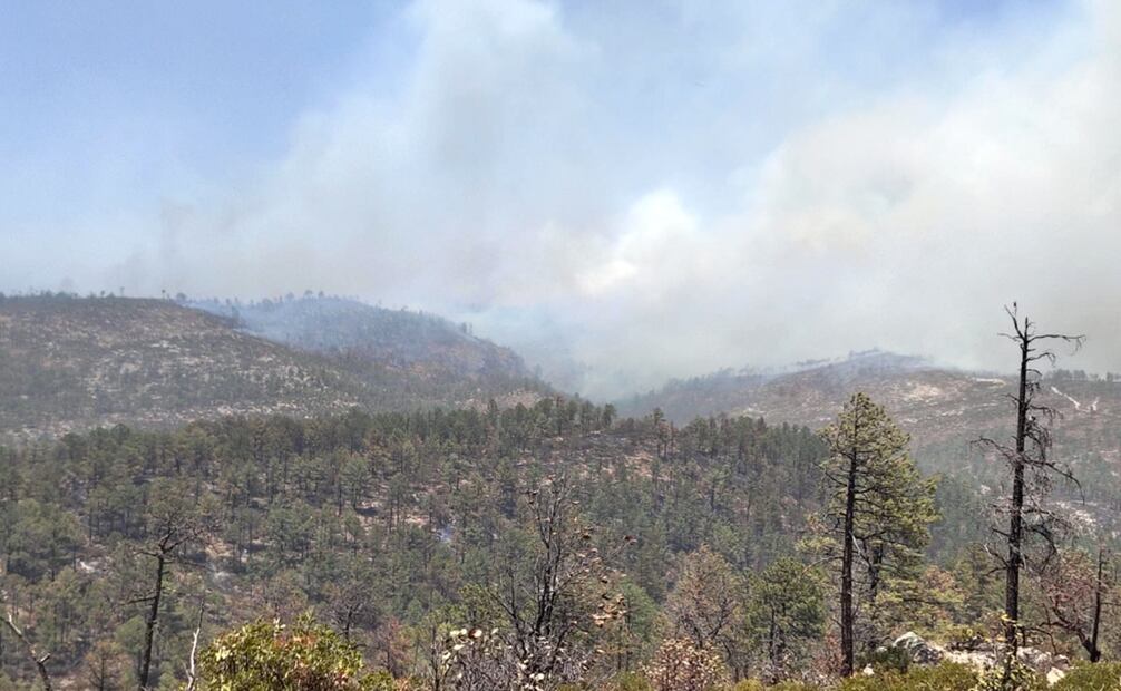 Incendios forestales continúan afectando a Chihuahua; solicitan aplicar el plan DN- III. Foto: especial