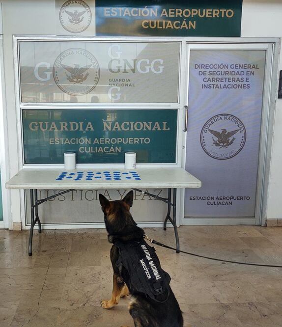 Detectan 3 mil pastillas de fentanilo en aeropuerto de Culiacán 