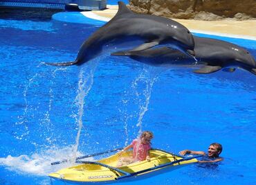 7 razones para no visitar un delfinario