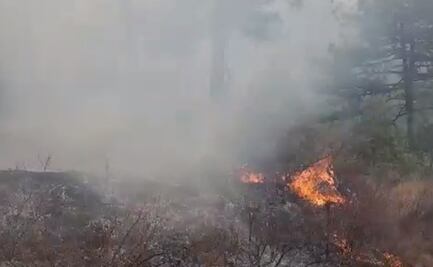 Incendio forestal en sierra de Coahuila se extiende hacia la zona montañosa de NL