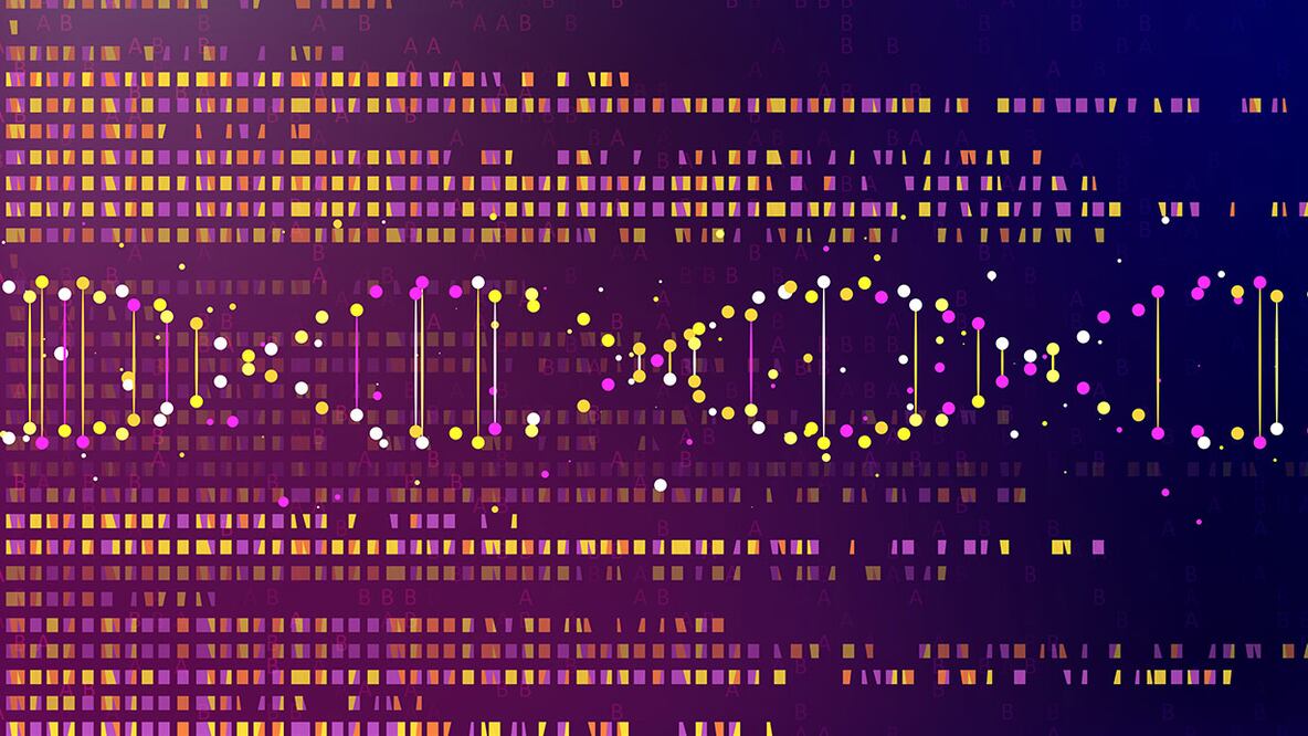 La paleogenómica y los secretos de los neandertales