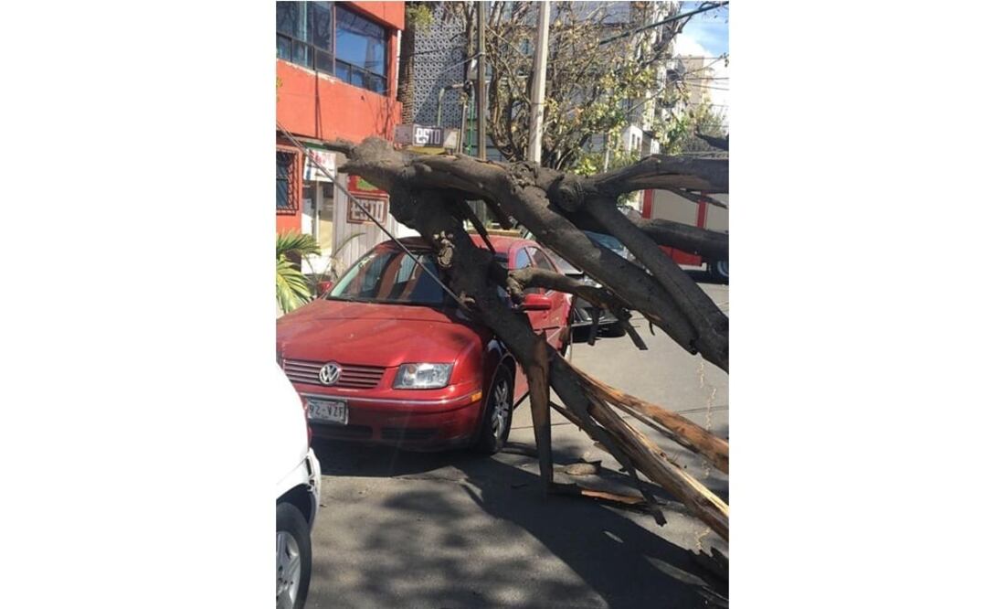 (Foto: Twitter @SPCCDMX)