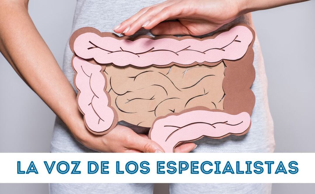 La microbiota humana, y la microbiota intestinal participa en diversos aspectos, desde la digestión hasta el estado de ánimo.  |  FOTO: especial.