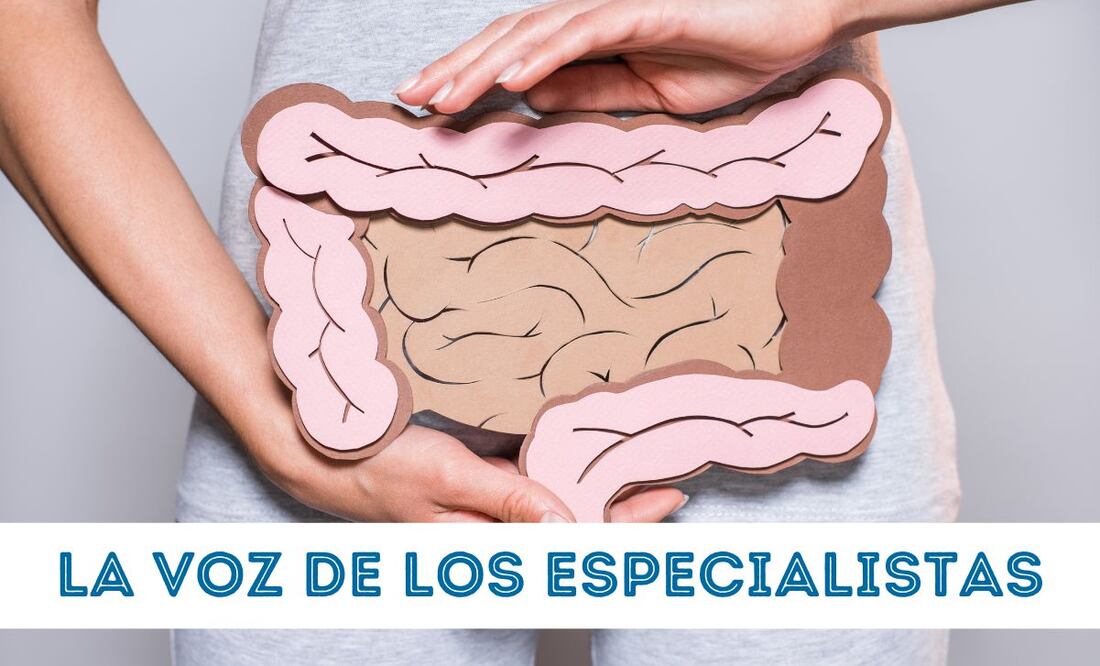 La microbiota humana, y la microbiota intestinal participa en diversos aspectos, desde la digestión hasta el estado de ánimo. | FOTO: especial.