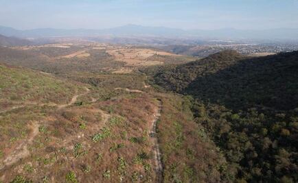 En Morelos, ESM y San Agustín Tetlama trabajan por mejores condiciones sociales