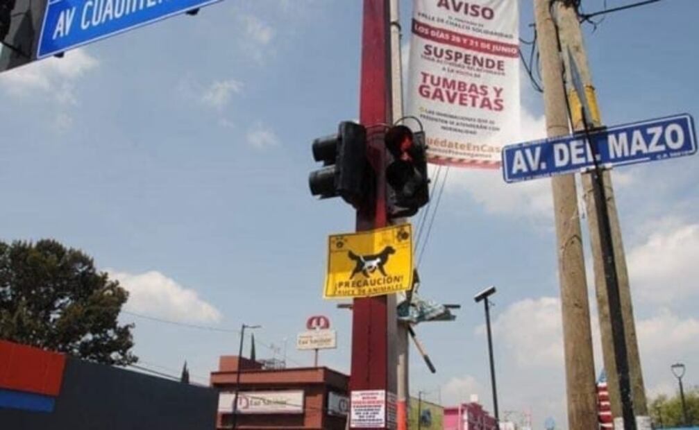 Valle de Chalco inicia campaña para adoptar mascotas tras crisis por Covid