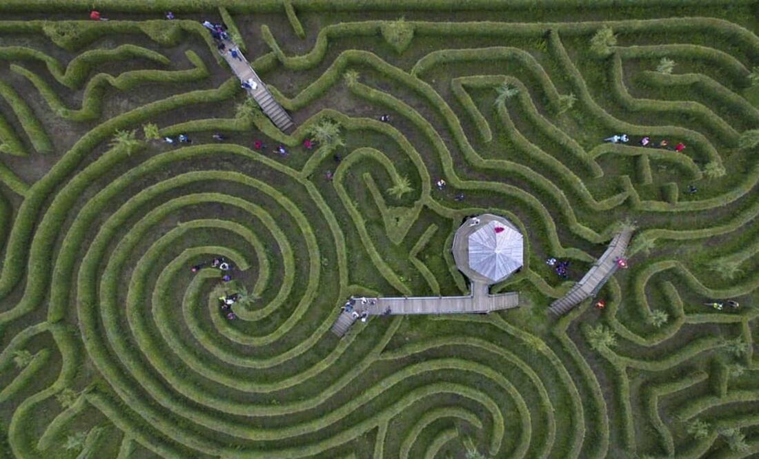 Parque de aventura Alpinia, a una hora de CDMX, aproximadamente. Imagen: alpinia.com