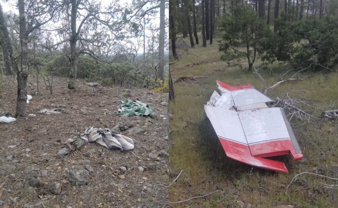 Encuentran pista de aterrizaje clandestina y campamento delictivo en Guachochi, Chihuahua
Foto: Especial.