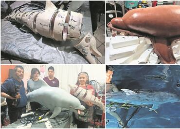 Delfines robot elevan la apuesta del cine mexicano