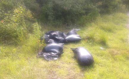 Gobierno de Veracruz asegura que no permitirá venganzas entre grupos delictivos 