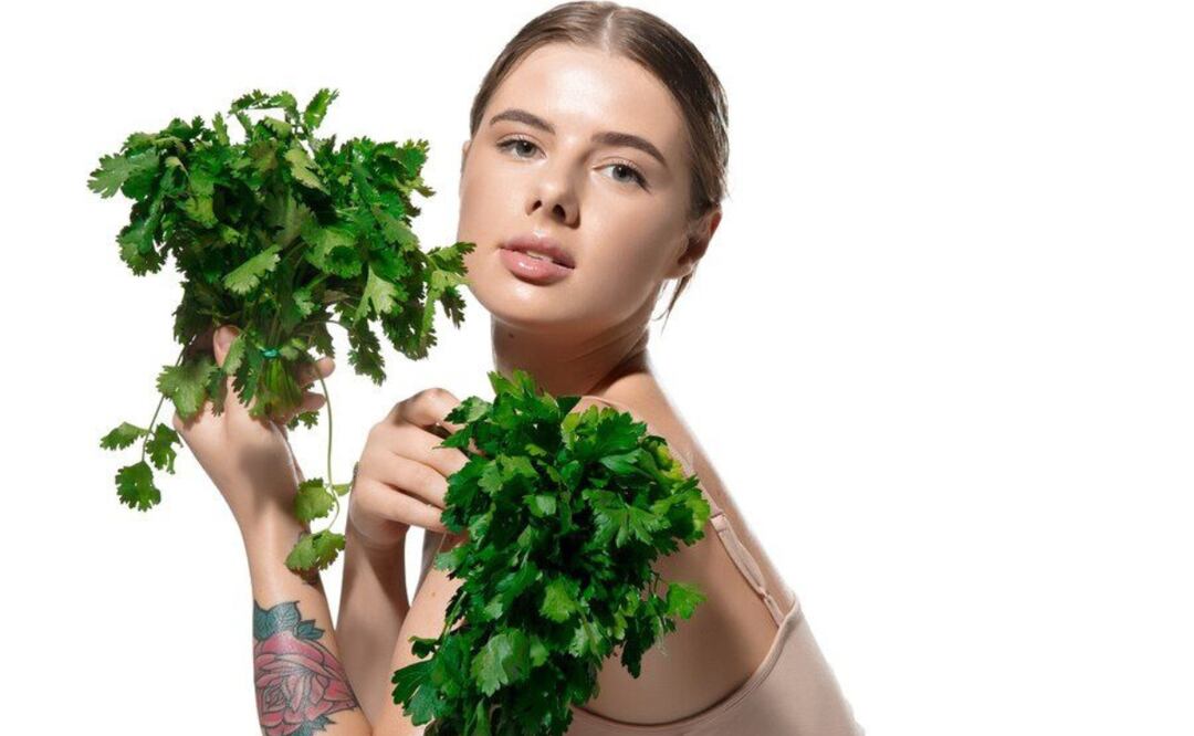 La clorofila es la responsable del color verde de las plantas. Fuente: Freepik.