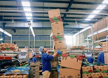 Advierten de alza a cuota de jitomates