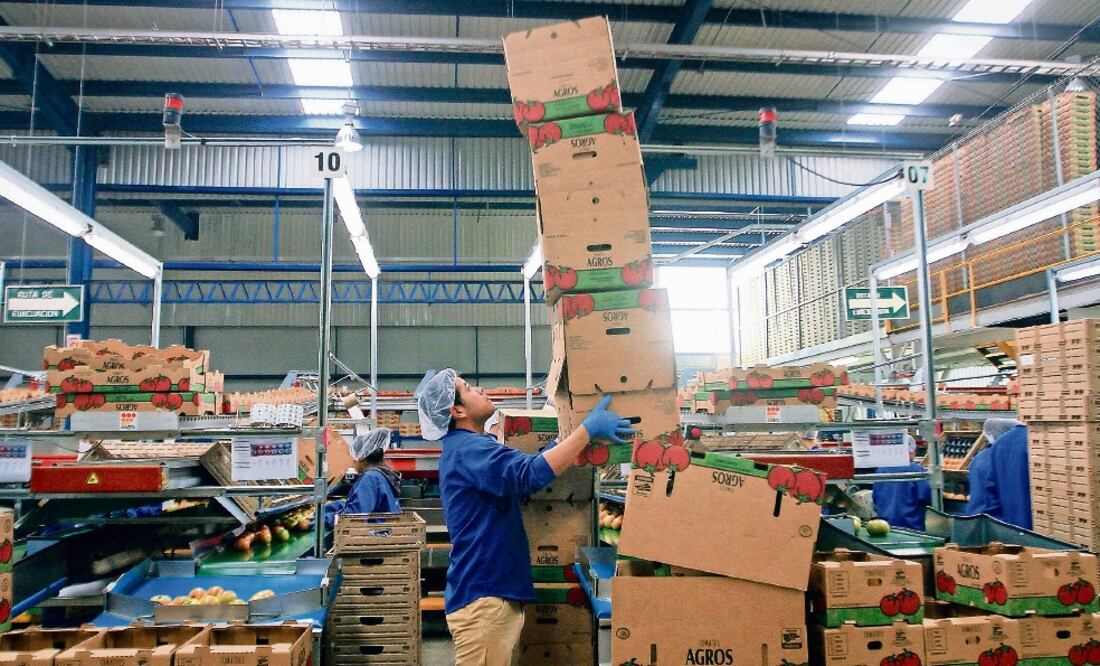 De acuerdo con productores mexicanos, Estados Unidos utiliza una medición no apropiada para bienes perecederos. Foto/ARCHIVO EL UNIVERSAL