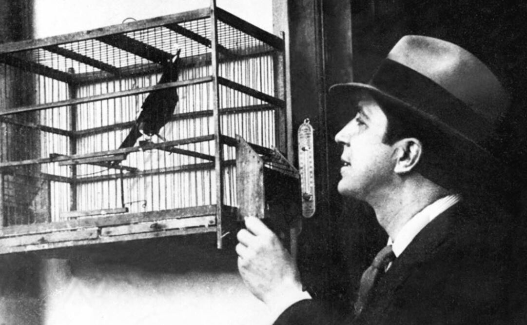 Gardel murió en un accidente aéreo en Colombia FOTO: ARCHIVO