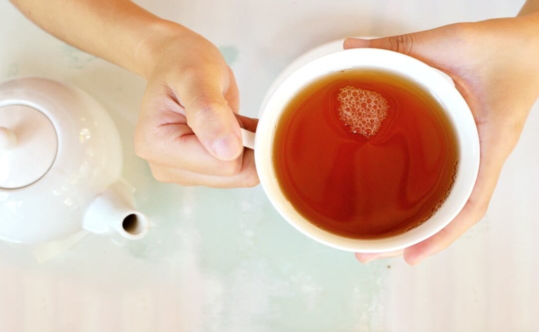 Avocado is full of health benefits - Photo: File photo/EL UNIVERSAL