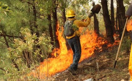 Conafor reanuda acciones para combatir incendio en Tepoztlán