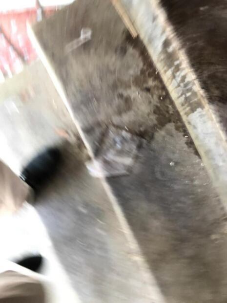 Sangre, voces y miedo en la vecindad de Cuba 86…