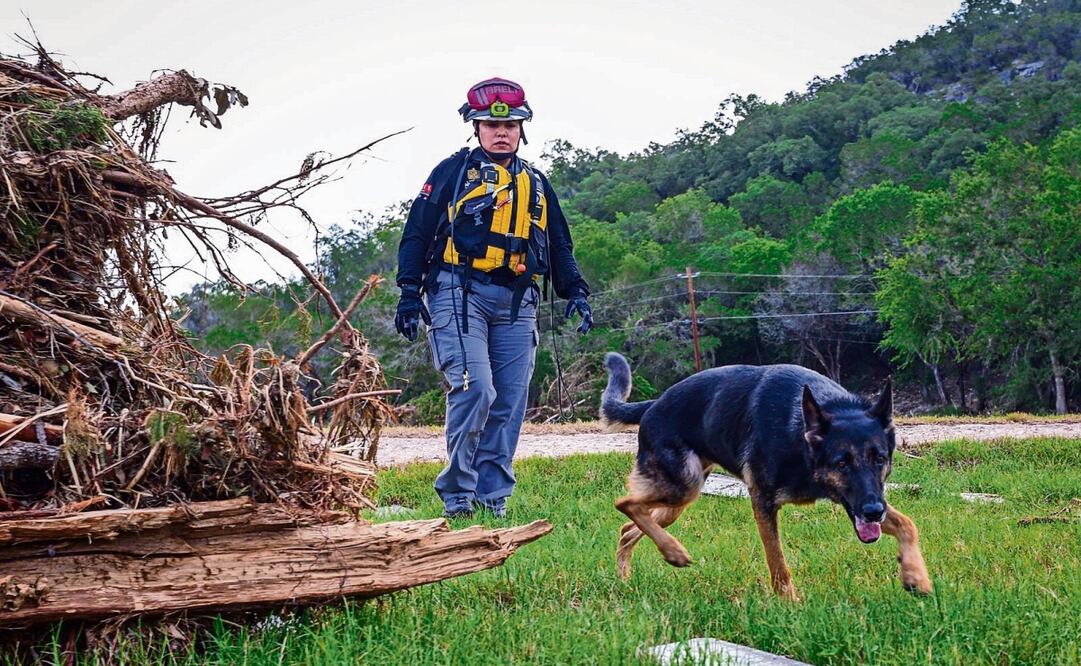 Tras las inundaciones en Texas, la guardia canina de Nuevo León y los rescatistas que viajaron ya iniciaron las labores de búsqueda. Foto: Especial