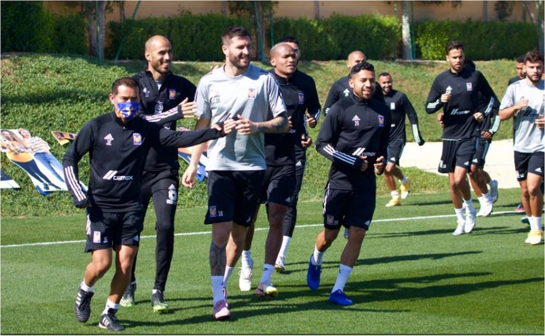 El T-Rex y un brasier