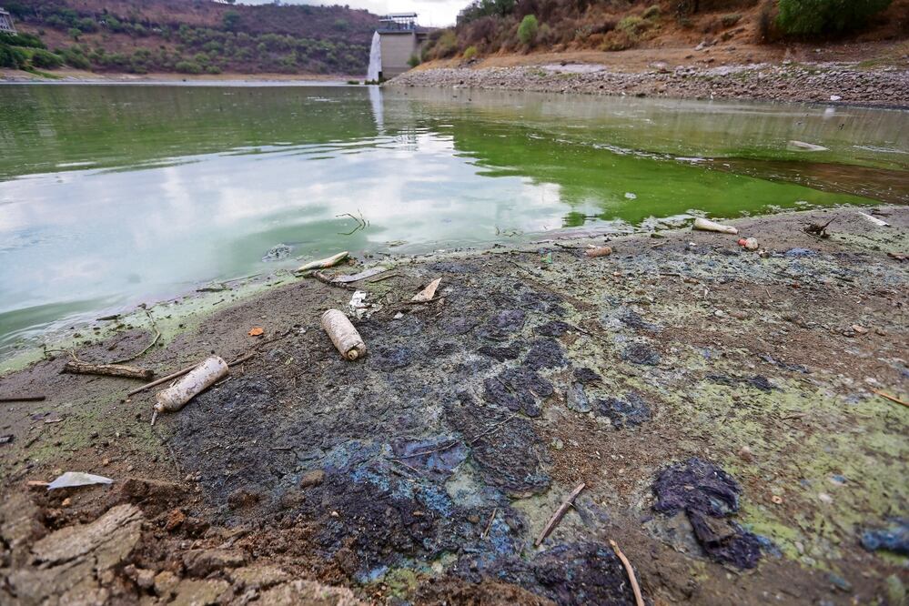 La falta de agua en la presa ha dejado al descubierto postes, troncos de árboles de cuando fue creada Foto: Luis Camacho EL UNIVERSAL