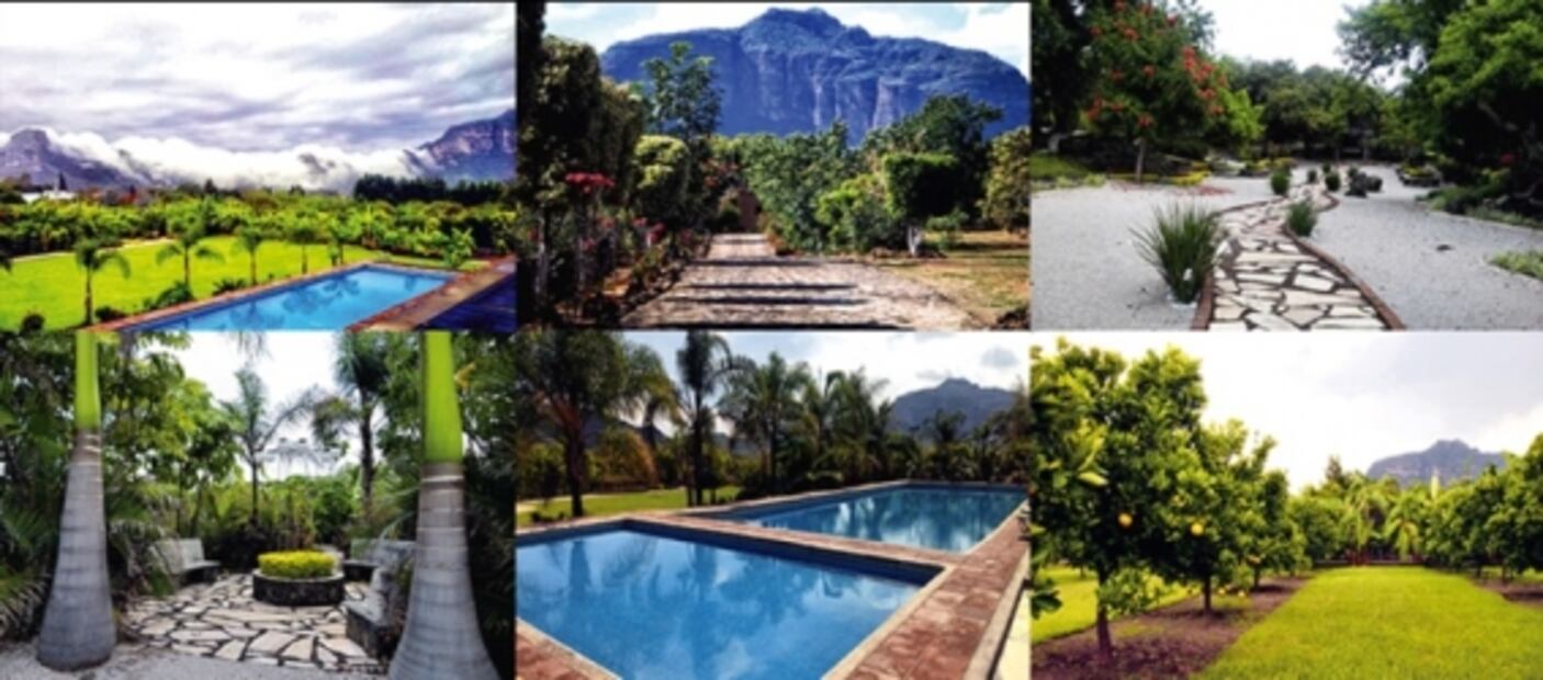 Electronic Camping Festival, pulque, música electrónica y bebidas artesanales