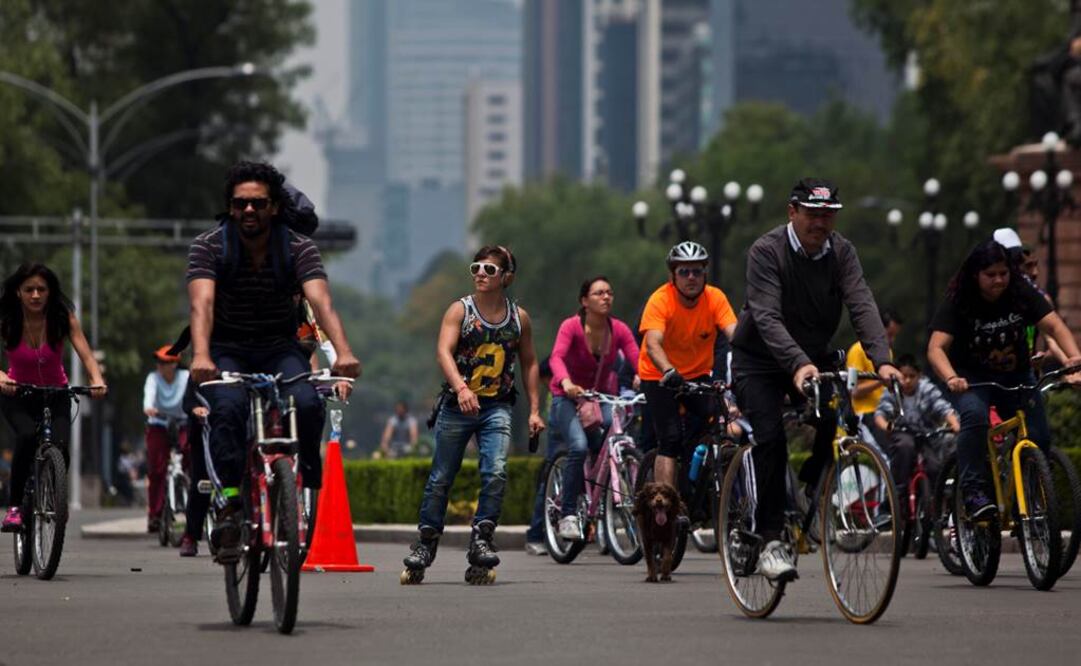 A pesar de que esta idea está muy extendida, la respuesta no es definitiva. Foto: Archivo
